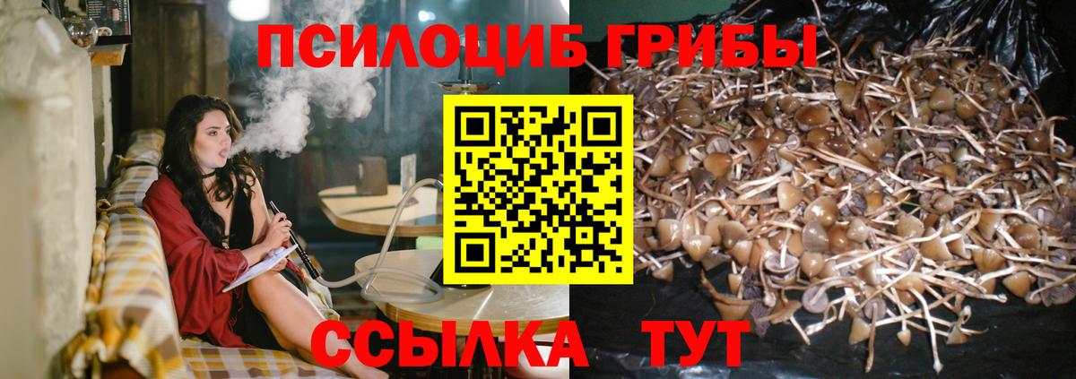 Красный Сулин  дарнет шоп  Галлюциногенные грибы прущие грибы  Вход с VPN  Псилоцибиновые грибы MAGIC MUSHROOMS 